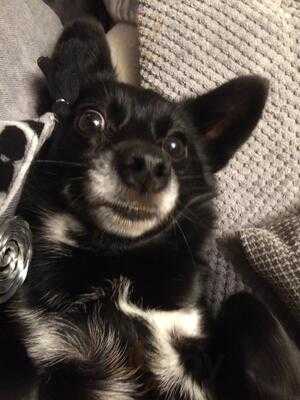 Gaststätte Und Pension Köhlerhütte