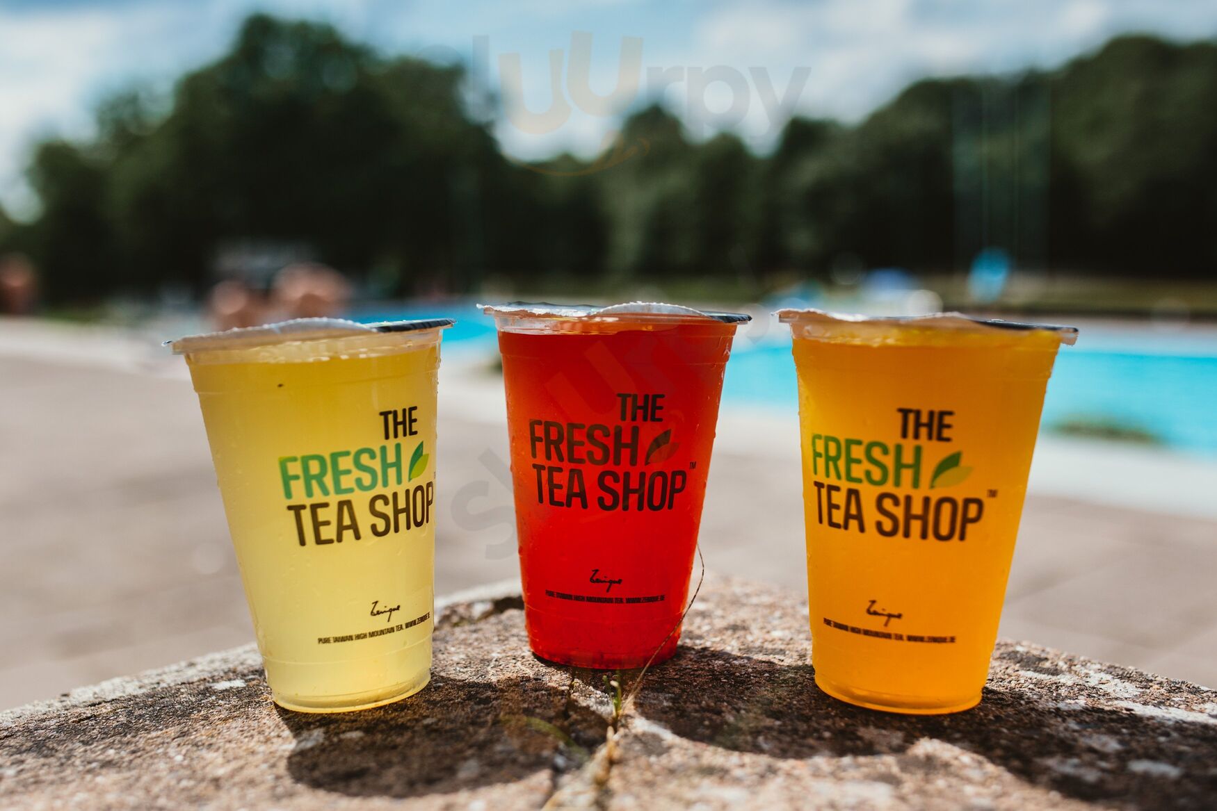 The Fresh Tea Shop