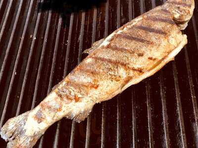 Marina Fisch Restaurant