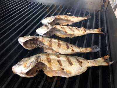 Marina Fisch Restaurant