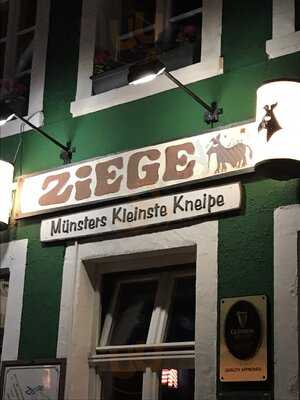 Ziege