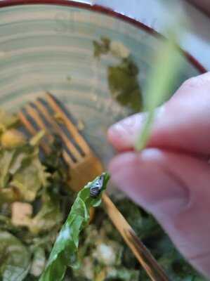 Domino's Pizza Münster Südwest