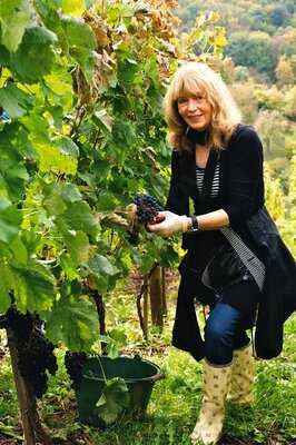 Besenwirtschaft Gohl - Bei D'r Elsbeth