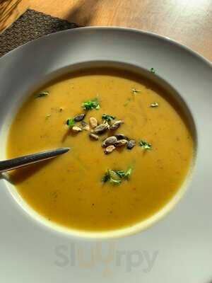 Exo Gastronomie Im Exotenhaus