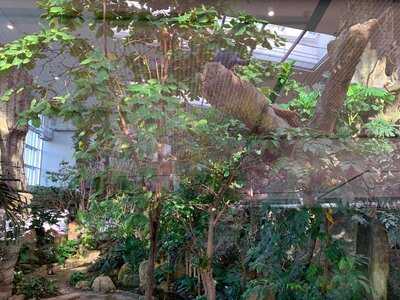 Exo Gastronomie Im Exotenhaus