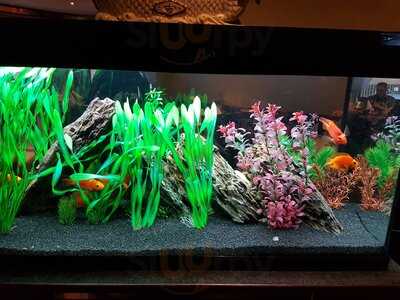 China Restaurant Wang