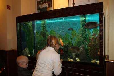 Chinarestaurant Sonne Dresden