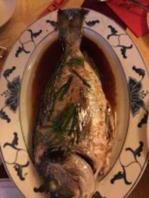 Chinarestaurant Sonne Dresden