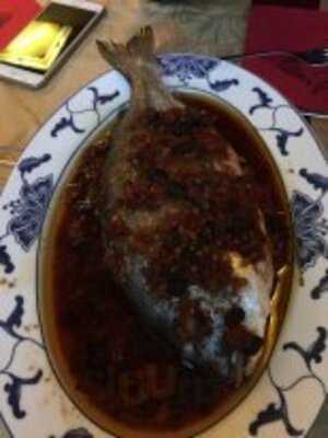 Chinarestaurant Sonne Dresden