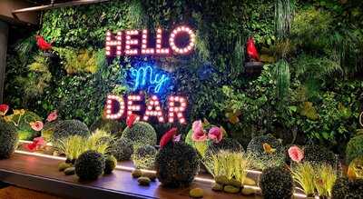 Wilma Wunder Stuttgart