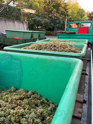 Besenwirtschaft Rauscher