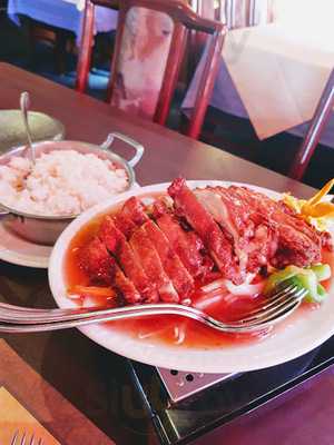 Bambusgarten Mei Ying Liu