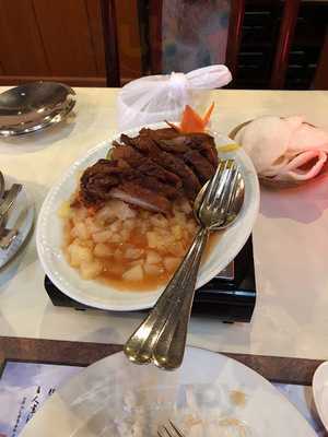 Bambusgarten Mei Ying Liu