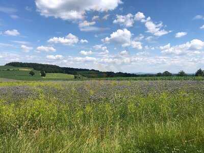 Windmullerhaus Zaschendorf