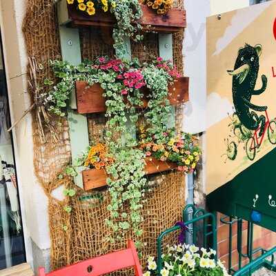 Ted‘s Späti Tanke