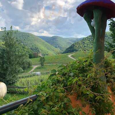 Förster's Weinterrassen