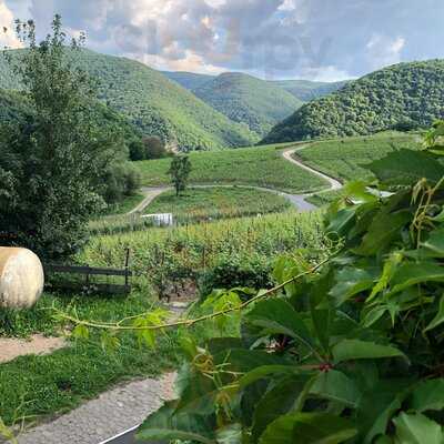 Förster's Weinterrassen