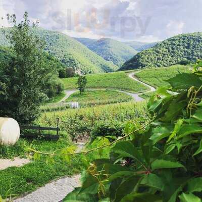 Förster's Weinterrassen