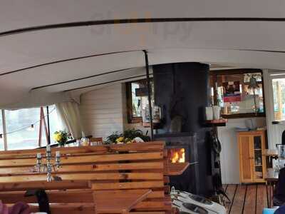 Hornfischbar Auf Der Pomeria