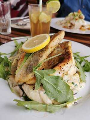 Hornfischbar Auf Der Pomeria