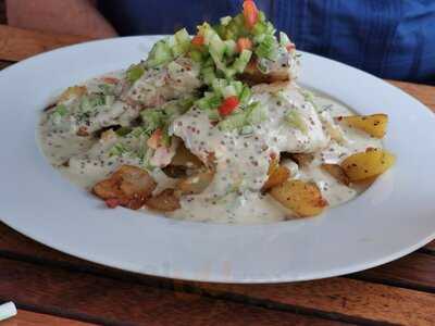 Hornfischbar Auf Der Pomeria