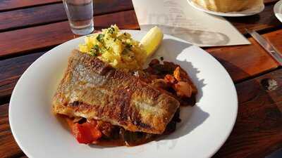 Hornfischbar Auf Der Pomeria