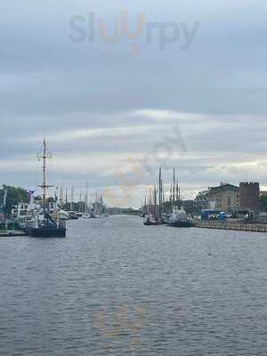 Hornfischbar Auf Der Pomeria