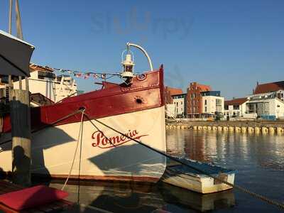 Hornfischbar Auf Der Pomeria