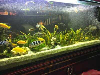 China-restaurant Dynastie