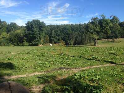 Waldgasthaus Schürmann Lattenberg