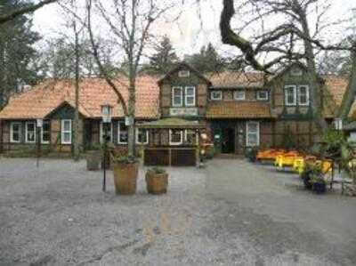 Waldwirtschaft Alter Kanal