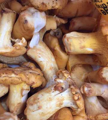 Kegelstüble Nufringen