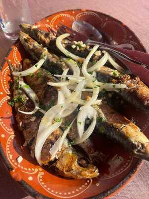 Uniao Portuguesa De Hilden