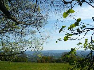 Conditorei Cafe Pape