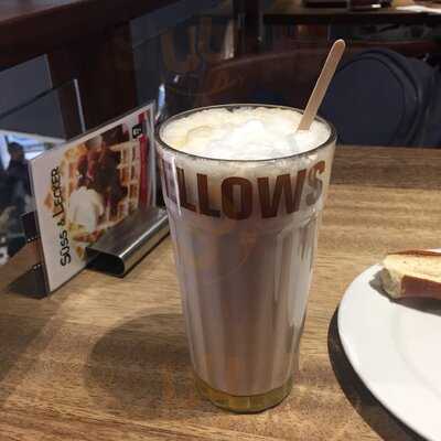 Coffee Fellows - Kaffee, Bagels, Frühstück