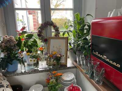 Minou - Dresdens Kleinstes Kaffeehaus