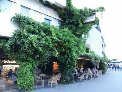 Weinkeller Stadtmauer