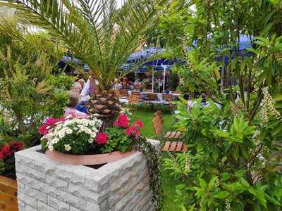 Weber's Restaurant Feldbergblick