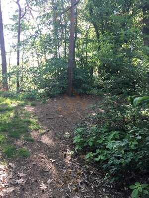 Höchster Kebap Haus