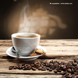 Bakery Baked Goods - Roya Heidari Ashtiani