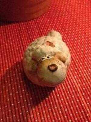 Wirtshaus Am Alten Wollmarkt