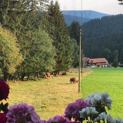 Schwarzwaldgasthaus Salenhof