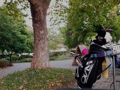 Restaurant Im Herrenhaus