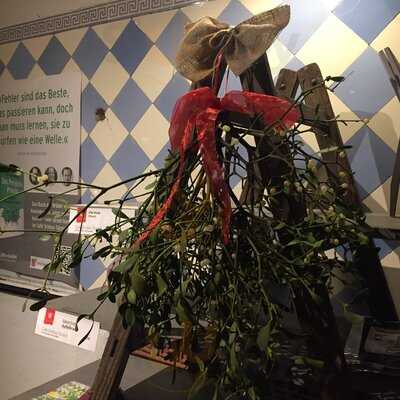 Café Schloss Türnich