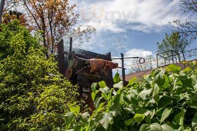 Kirchheimer Hirschgarten