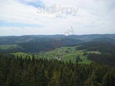 Berggasthof Hochfirst