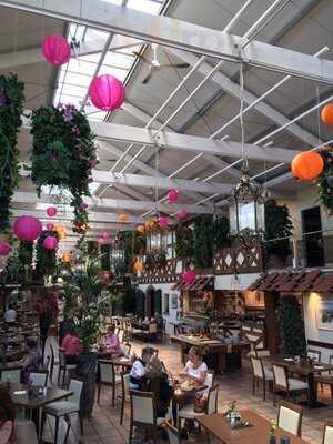 Sunflower Gartencenter