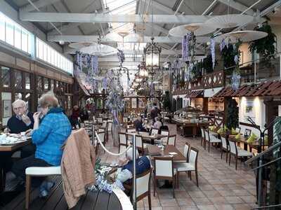 Sunflower Gartencenter