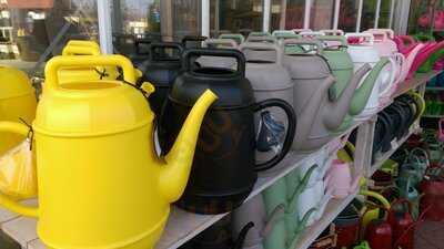 Sunflower Gartencenter