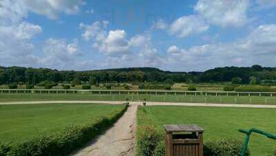 Grafengrün Restaurant